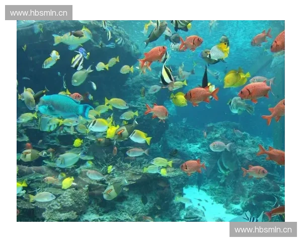 深海潜水打猎探秘:勇闯海底世界捕获珍稀生物的极限挑战 深海潜水打猎探秘:勇闯海底世界捕获珍稀生物的极限挑战